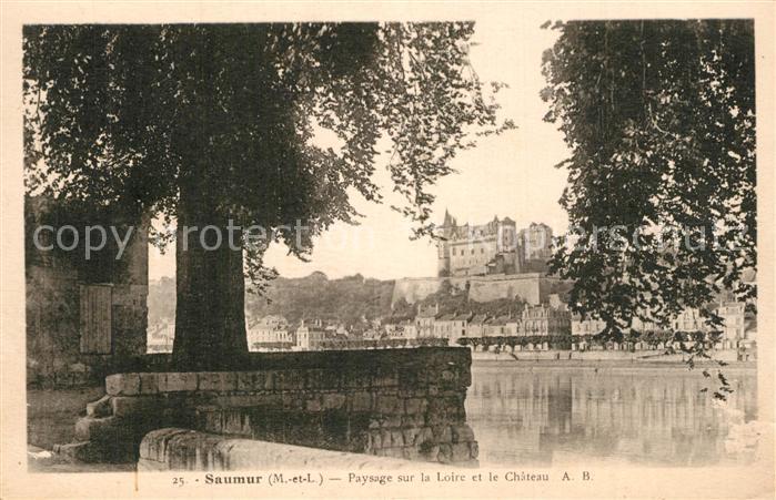 Saumur Paysage sur la Loire Chateau