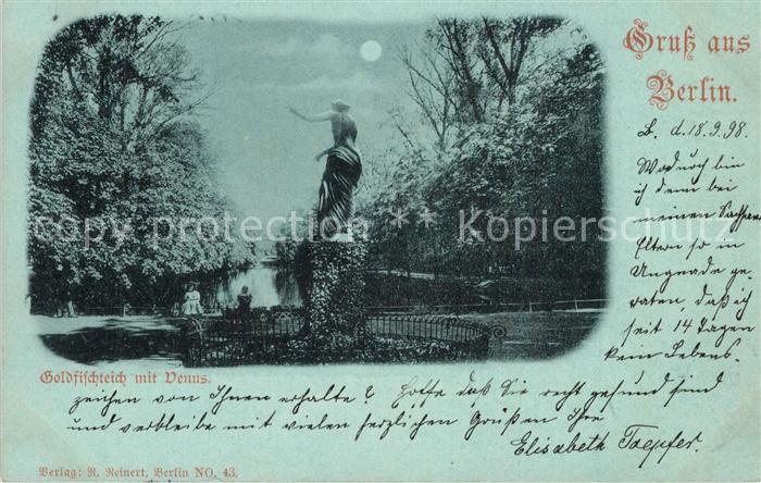 Tiergarten Berlin Goldfischteich mit Venus Mondschein