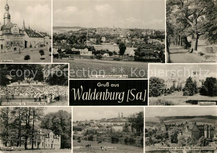 Waldenburg Sachsen Panorama Blick vom Collenberger Berg Rathaus Eichenallee Tbc