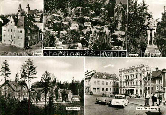 Hohenstein-Ernstthal Rathaus Versteinerte Baeume Bergmann Statue Hotel Sachsenri