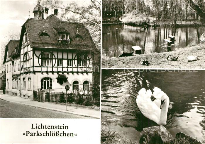 Lichtenstein Hohenstein-Ernstthal Parkschloesschen Schwanenteich Schwan