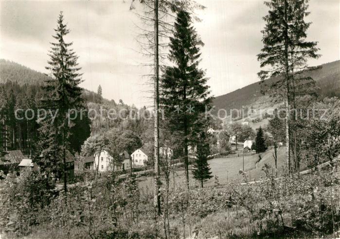 Wildenthal Eibenstock Ansicht vom Waldrand aus