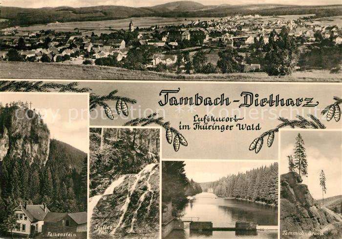 Tambach-Dietharz Gesamtansicht Falkenstein Wasserfall Tammichgrund Landschaftspa