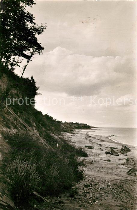 Dahmeshoeved Holstein Steilufer