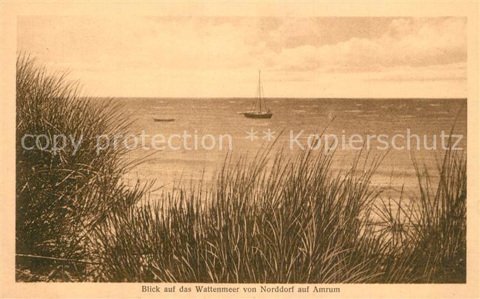 Norddorf Amrum Wattenmeer