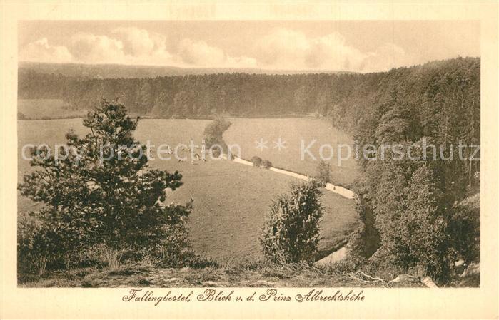 Fallingbostel Blick von Prinz Albrechtsh?he