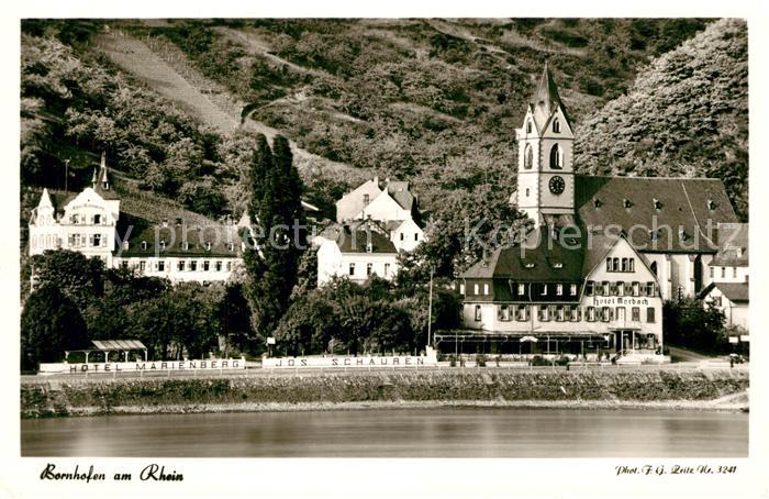 Bornhofen Kamp Rheinpartie