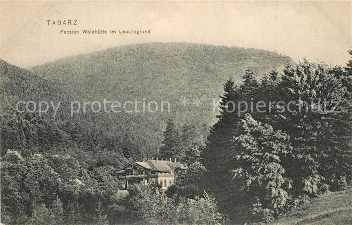 Tabarz Pension Waldh?tte im Lauchsgrund