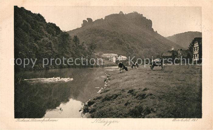 Nideggen Eifel K?he am Bach