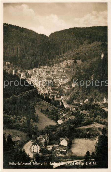 Triberg Schwarzwald Hotel L?wen National