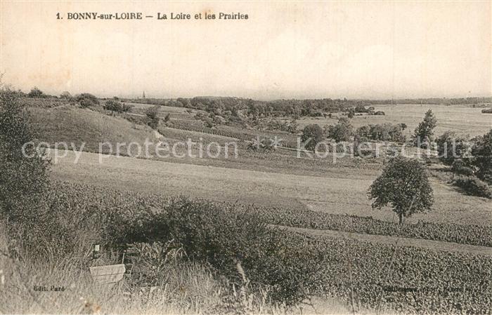 Bonny-sur-Loire Panorama La Loire et les prairies