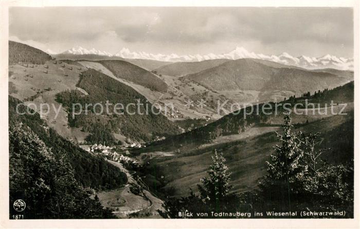 Todtnauberg Panorama Blick ins Wiesental Schwarzwald Schweizer Alpen
