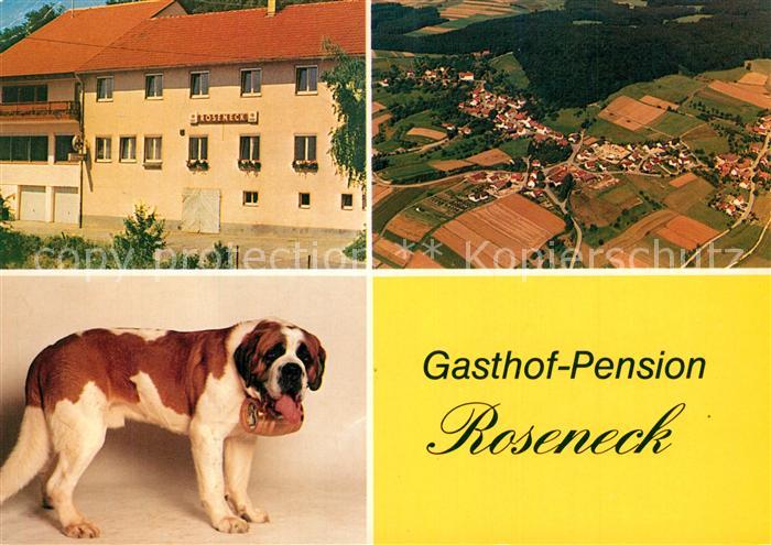Beeghof Gasthof Pension Roseneck Bernhardiner Fliegeraufnahme