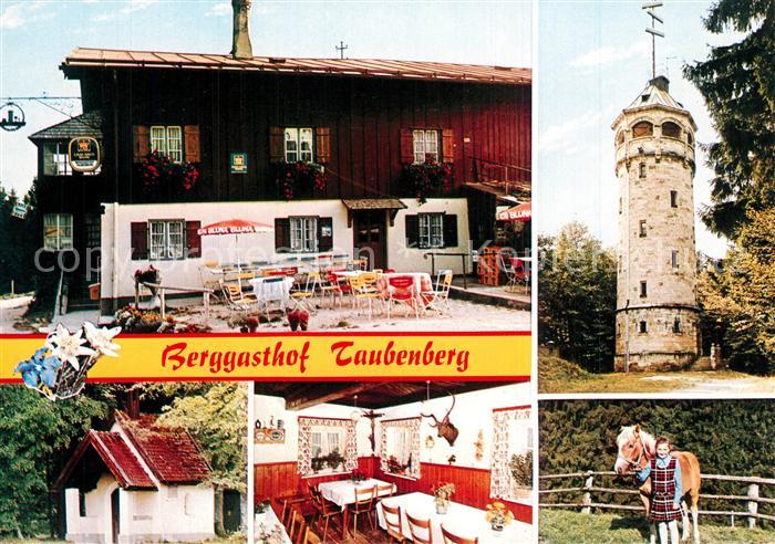 Weyarn Berggasthof Taubenberg Pferd Aussichtsturm