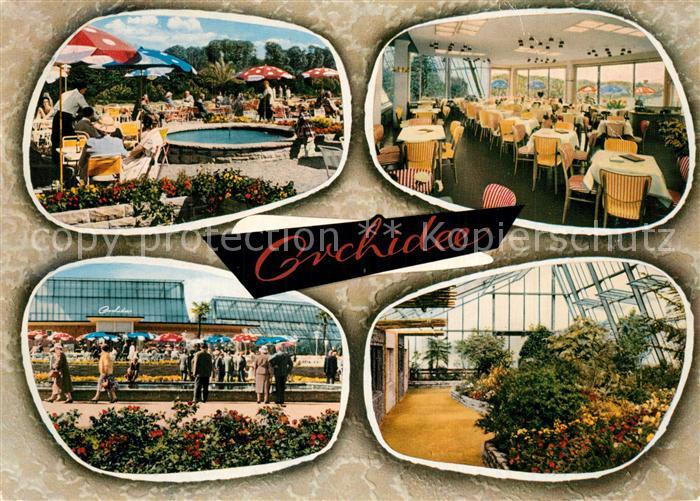 Br?nninghausen Cafe Orchidee