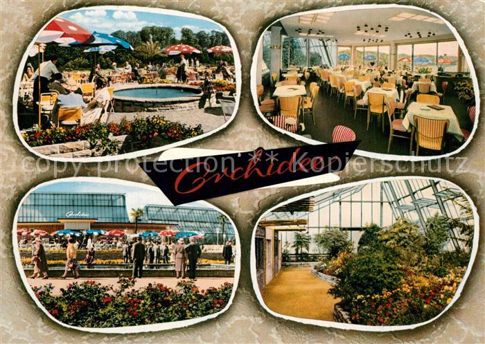 Br?nninghausen Cafe Orchidee