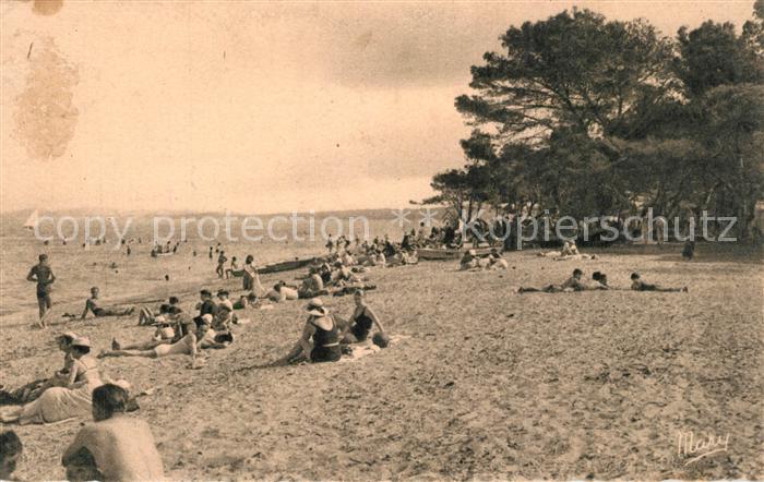 Hyeres les Palmiers La Plage