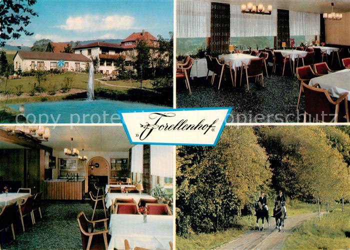Doerentrup Pension Cafe Forellenhof und Gaestehaus