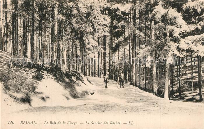 Epinal Vosges Le Bois de la Vierge Sentier des Roches
