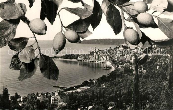 Menton Alpes Maritimes Vue Generale au fond Cap Martin Côte d Azur