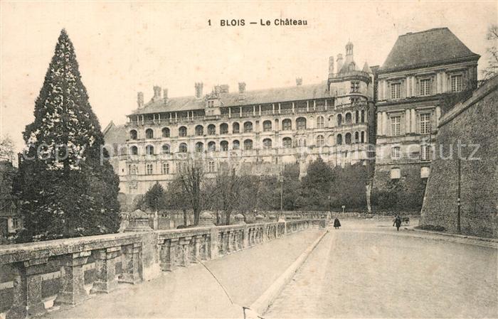 Blois 41 Chateau Schloss