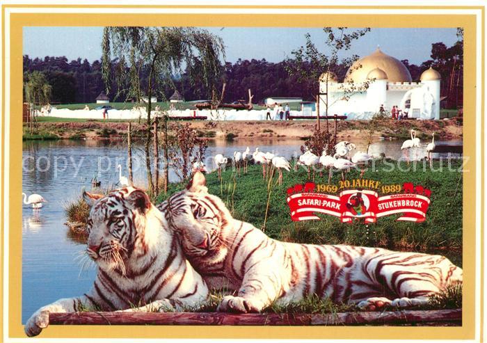 Stukenbrock 20 Jahre Hollywoodpark Safariland Tiger Flamingos