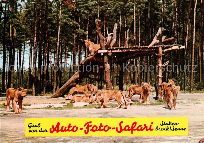 Stukenbrock 20 Jahre Hollywoodpark Safariland Loewen