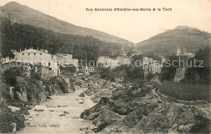 Amelie-les-Bains-Palalda Vue generale et le Tech