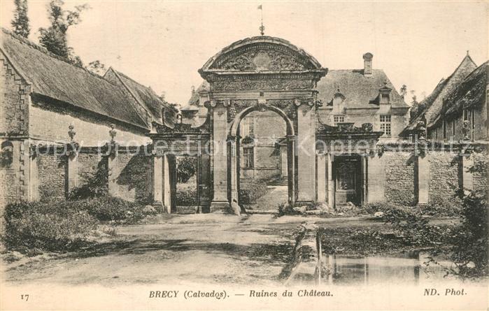 Brecy Cher Ruines du Chateau