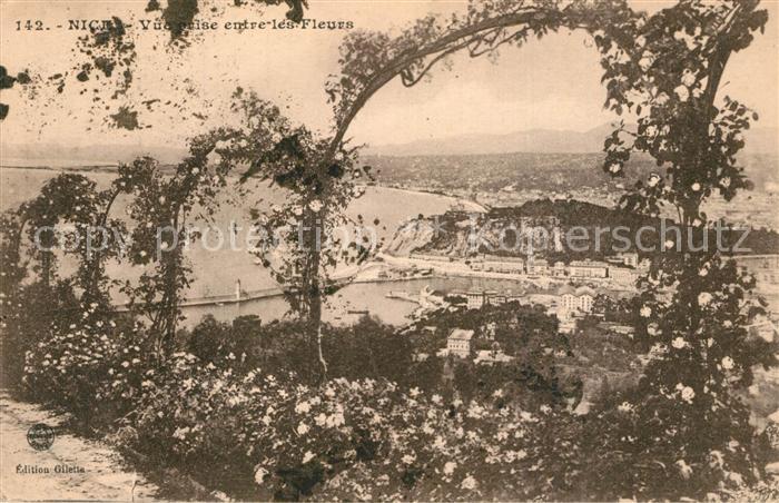 Nice Alpes Maritimes