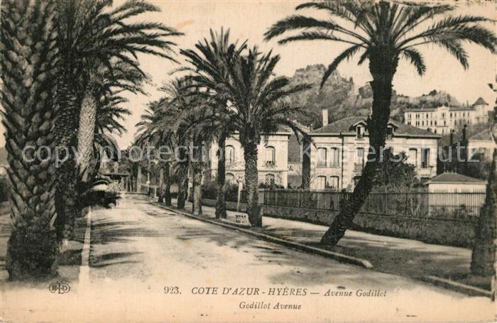 Hyeres les Palmiers Avenue Godillot
