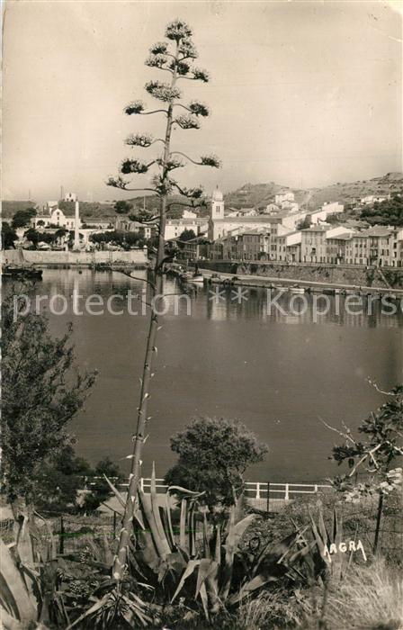 Port-Vendres Le Port