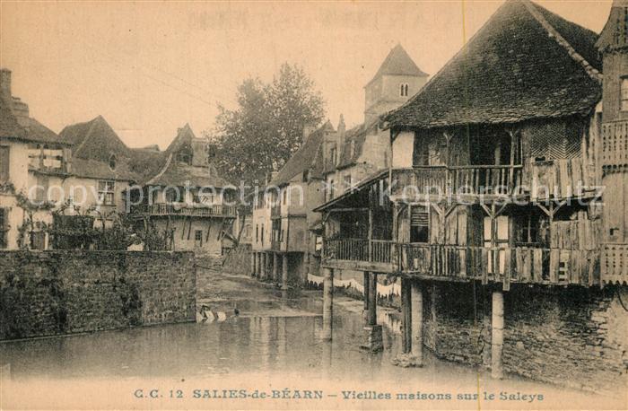 Salies-de-Bearn Vieilles maisons sur le Saleys