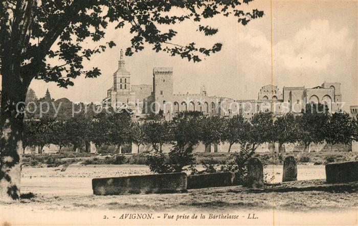 Avignon Vaucluse Vue prise de la Barthelasse
