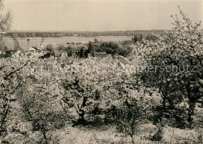Werder Havel Panorama