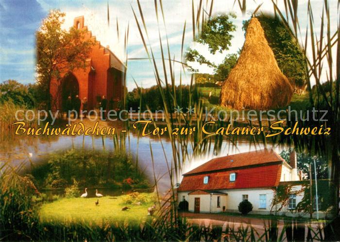 Buchwaeldchen Ziegelei Tor zur Calauer Schweiz