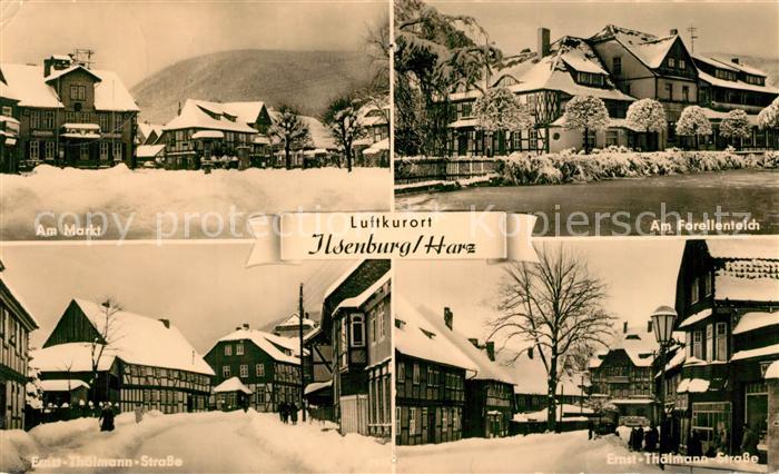 Ilsenburg Harz Markt Ernst Thaelmann Strasse Forellenteich im Winter