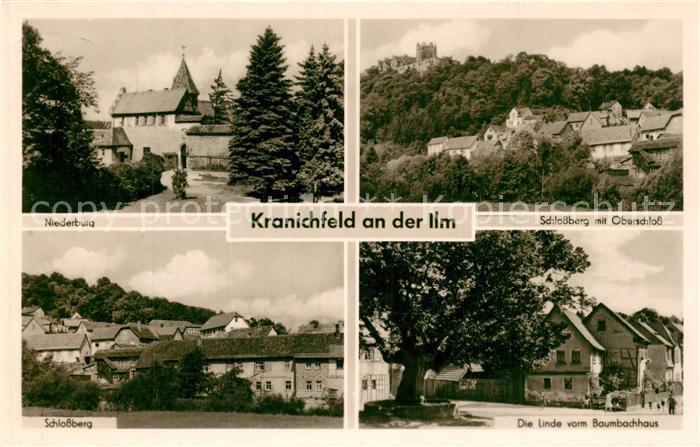 Kranichfeld Niederburg Schlossberg Oberschloss Linde Baumbachhaus