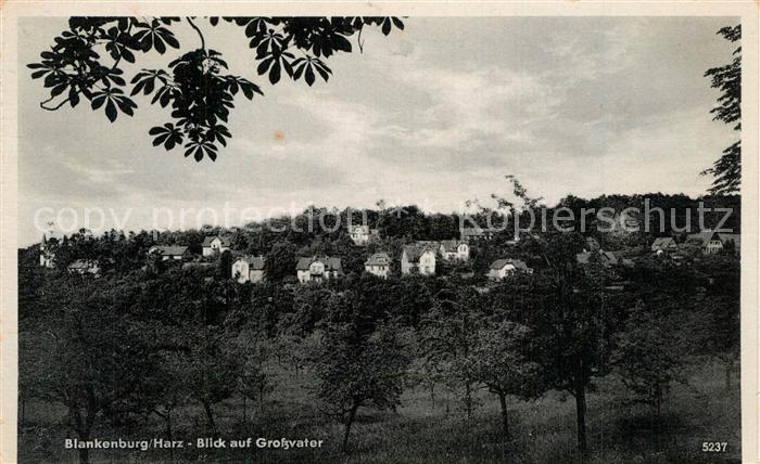Blankenburg Harz Blick auf Grossvater