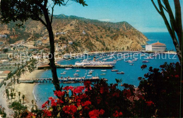 Santa Catalina Island Panorama port and town of Avalon