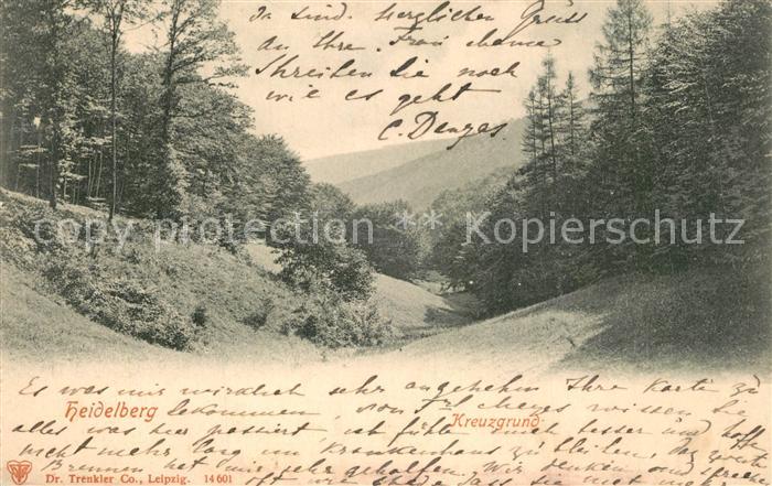 Heidelberg Neckar Landschaftspanorama Kreuzgrund