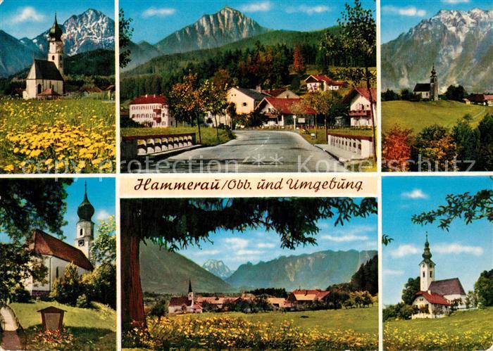 Hammerau und Umgebung Landschaftspanorama Alpen