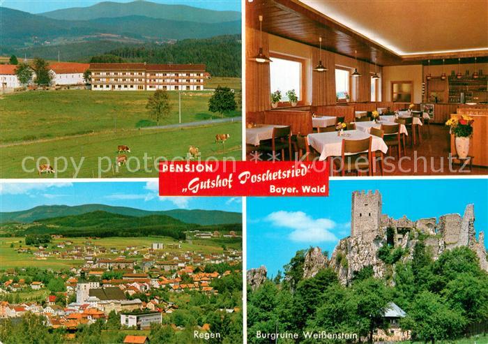Poschetsried Pension Gutshof Poschetsried Burgruine Weissenstein Bayerischer Wal