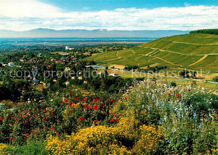 Badenweiler Panorama Kurort im Schwarzwald Roemerberg Rheintal Vogesen