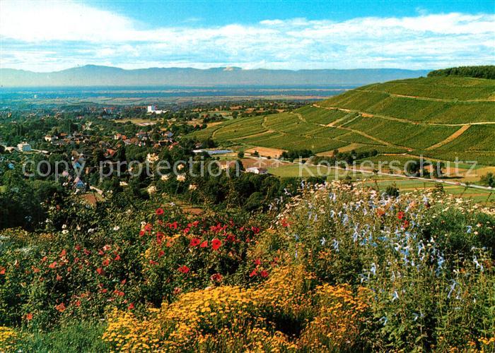 Badenweiler Panorama Kurort im Schwarzwald Roemerberg Rheintal Vogesen