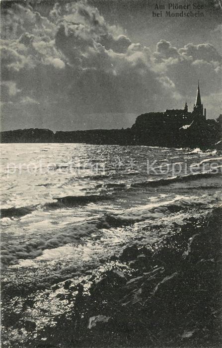 Pl?n See bei Mondschein