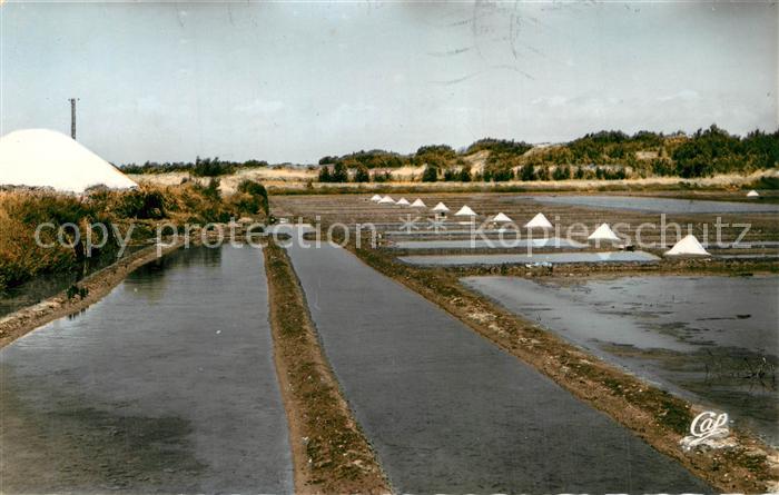 Les Portes-en-Re Les Marais Salants