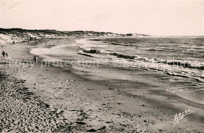 Ile d Oleron Plage Domino