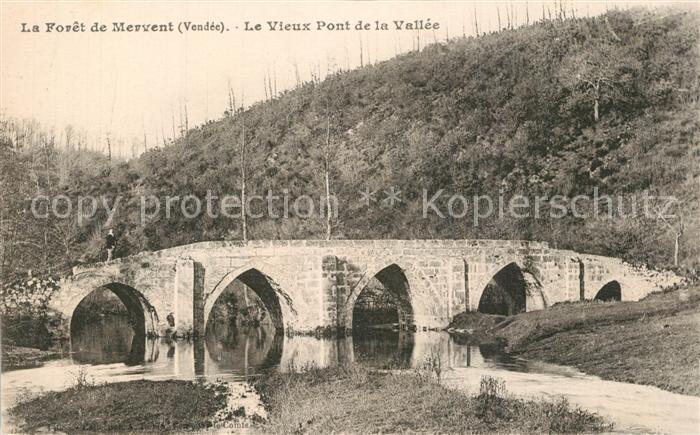 Mervent Forêt de Mervent Vieux pont de la Vallee