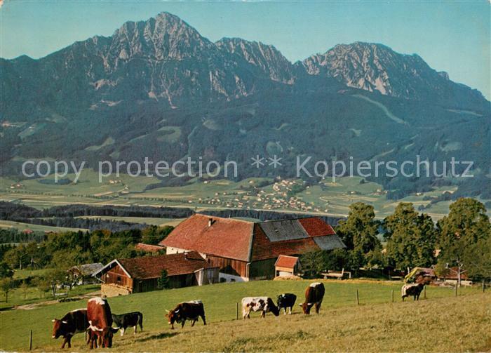 Strobl Alm am Hoegel mit Hochstaufen Zwiesel Aufham Chiemgauer Alpen
